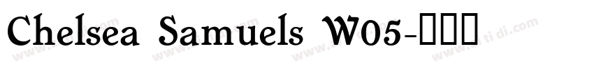 Chelsea Samuels W05字体转换